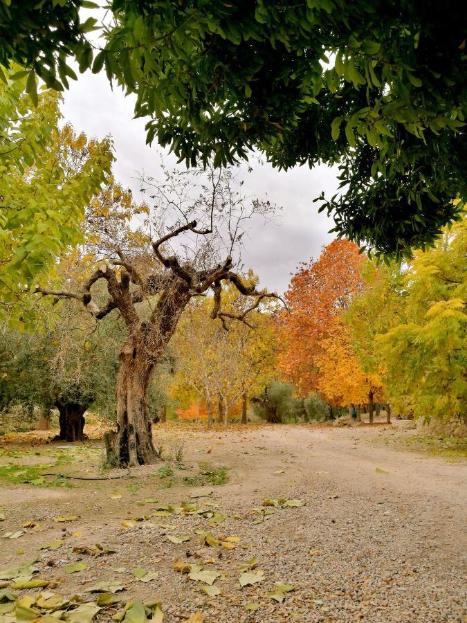 모라탈라 Finca La Celada 게스트하우스 외부 사진