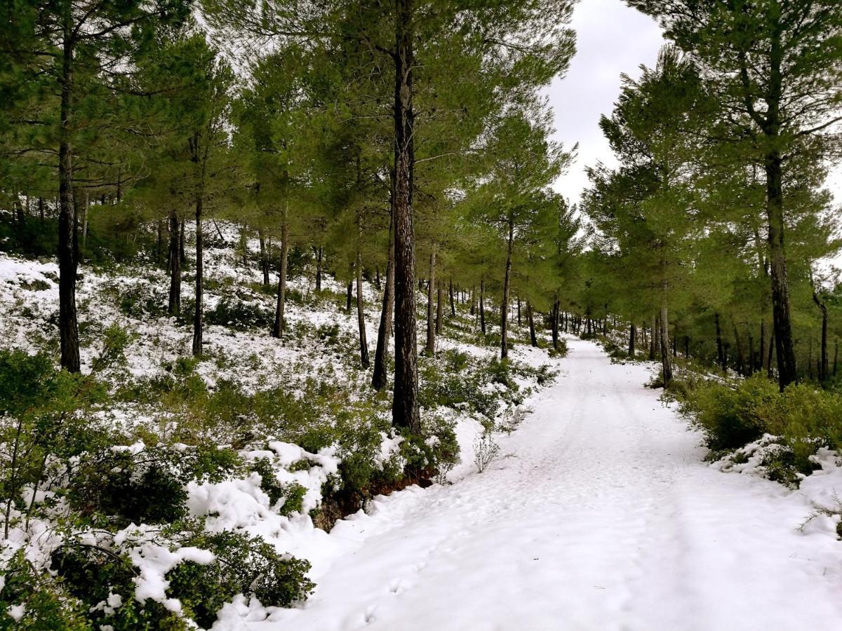 모라탈라 Finca La Celada 게스트하우스 외부 사진