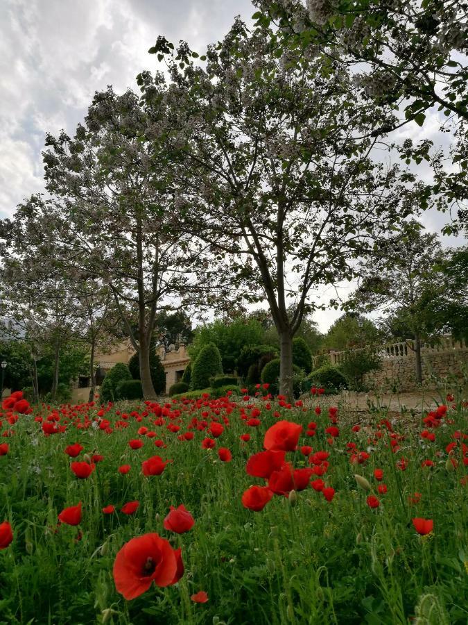 모라탈라 Finca La Celada 게스트하우스 외부 사진